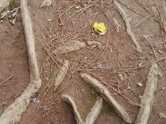 android_upload_pic-叠水河瀑布