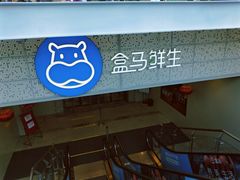 门面-盒马鲜生(双清路店)