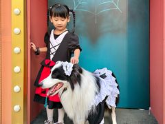 -华谊兄弟（长沙）电影小镇