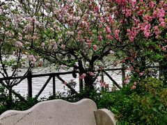 -南汇桃花村