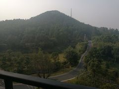 -美的鹭湖森林度假区