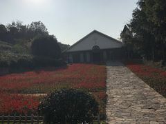 -天目湖涵田半山温泉