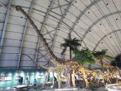 -辽宁古生物博物馆