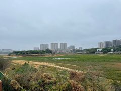 -立新湖公园