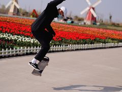 -南通鲜花小镇