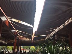 大堂-琼海·狮椰美食楼