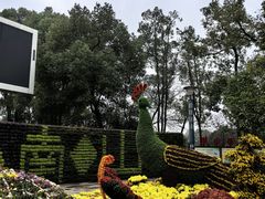 -南山植物园