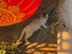 -东钱湖小普陀景区