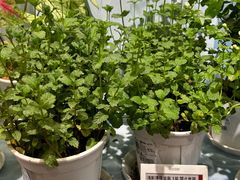 -盒马鲜生(馥邦国际店)