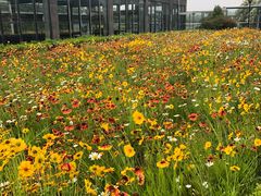 -青岛银沙滩温德姆至尊酒店