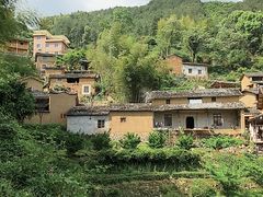-杨家堂村
