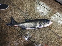 -好灶头妈妈菜·柴火灶台鱼·千岛湖土菜地标美食