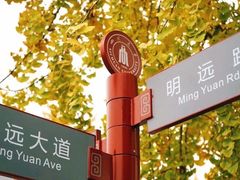 -四川大学(望江校区)