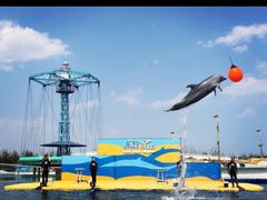 -秦皇岛乐岛海洋王国