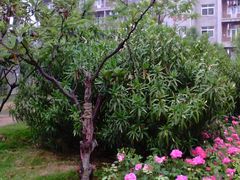 -河南财经政法大学(郑东校区)