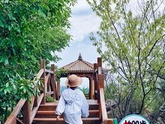 -大岭沟猕猴桃谷风景区