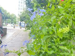 -奥园城市天地