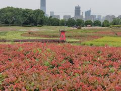 -苏州湾体育公园