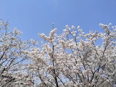 -菲滋意式餐厅(鄞州印象城店)