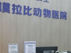 -宠颐生汉谟拉比宠物医院