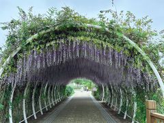 -同里国家湿地公园