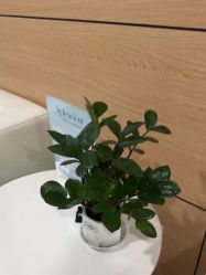 -重庆联合丽格第五医疗美容医院
