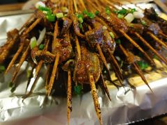 -晓靖轩烧烤(沙河风情店)