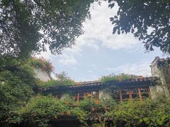 -猫的天空之城概念书店(苏州平江店)