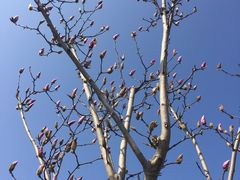 -宁波杉井奥特莱斯广场