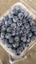 -爱乐婴童水育早教中心·儿童游泳中心(田园商业广场店)