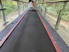 -富春桃源风景区