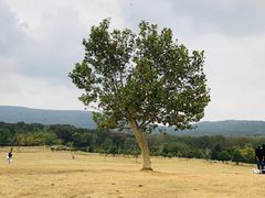 -钟山体育运动公园