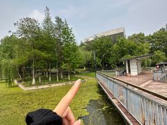 -月湖风景区