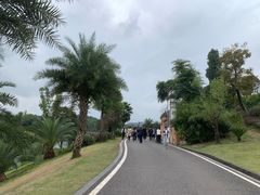 -枫香湖儿童公园