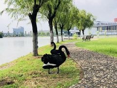 -南京医科大学(江宁校区)