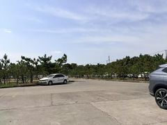 -无忧学车·华茂驾校(宝山校区)