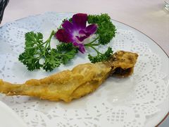 -金龙渔港(双楠店)