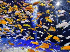 -成都浩海立方海洋公园