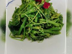 清炒丝瓜尖-大碗居·烤鸭·鱼头泡饼(天坛东门店)