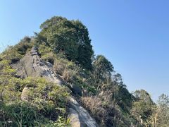 -南山植物园