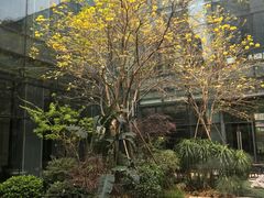 -福州仓山凯悦酒店·Market Cafe Lacucina咖啡厅