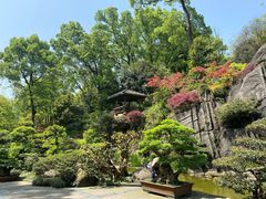 -南山植物园