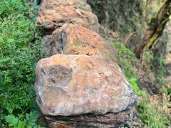 -西双版纳基诺山寨