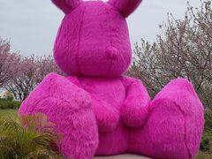 -鲤鱼洲酒店港鲤咖啡厅