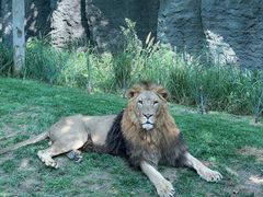 -北京野生动物园