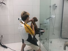 -柚子宠物(伊珊娜调理店)