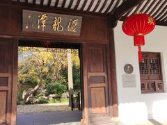 -汇龙潭