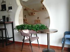 -Meowの猫咖(万家丽店)