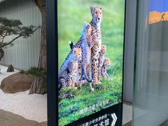 -罗红摄影艺术馆