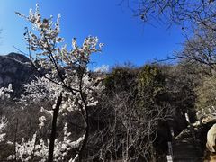 -北京凤凰岭
